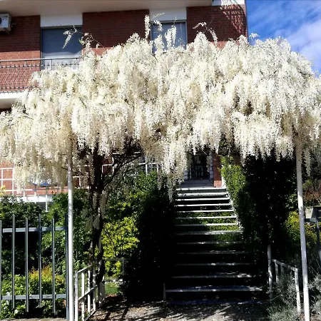 Appartamento Acqua Apartmán